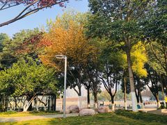 -西北湖绿化广场