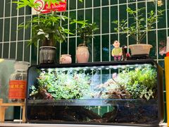 -堂屋糖水店(愚园店)