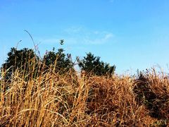 -大罗山风景区