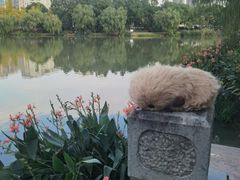 -杭州乐园