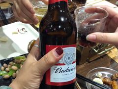 -金刚山烧烤(红旗大街店)