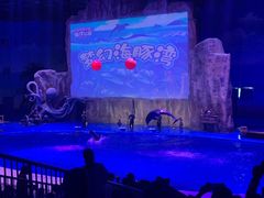 -华夏文旅海洋公园