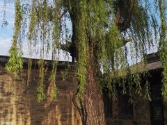 -常家庄园