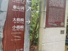 -梧桐山风景名胜区