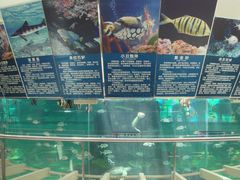 店内环境-鸿通城购物中心