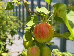 -中关村生命科学园