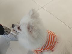 -怪兽屋·羊驼·猫咖·狗咖(俊华广场店)