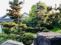 景点-范蠡湖公园