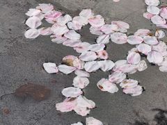-广富林宰相府酒店·水云间