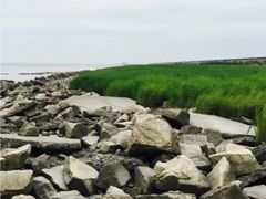 -南汇嘴观海公园