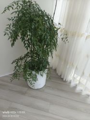 -HEYAN荷妍专业脱毛连锁机构