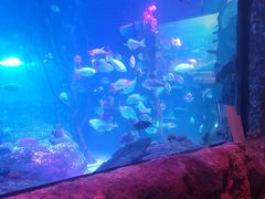 -沈阳海洋探索中心