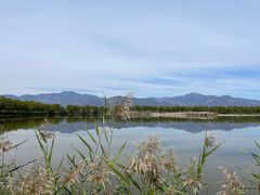 -野鸭湖国家湿地公园