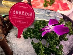 -川中渝夫火锅(铜陵万达广场店)