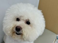 -瑞派康怡24h宠物医院·犬猫医疗中心·微创绝育(瑞景分院)