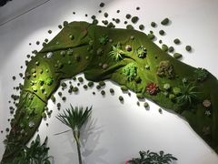 -桉树林A coffee 森林餐厅(三圣乡店)