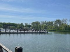 -溱湖国家湿地公园