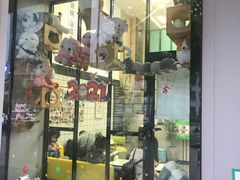 -半岛宠物医院24小时(科华中路店)
