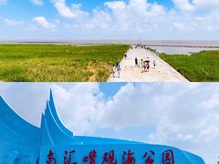 -南汇嘴观海公园