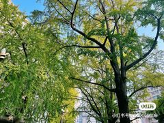 -四川大学(华西校区)