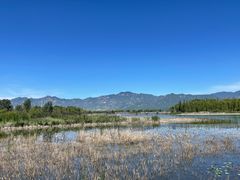 -野鸭湖国家湿地公园