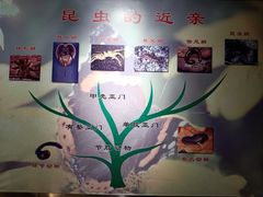 -上海昆虫博物馆