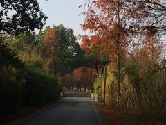 -西溪国家湿地公园