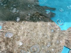 -王大厨·海鲜·家常菜