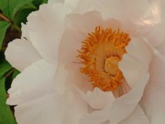 -仁和公园(顺义区)