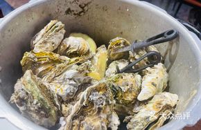 Steamed Oysters in Pressure Cooker