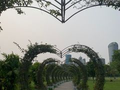 -万绿园