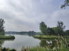 -东郊湿地公园