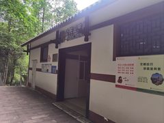 -重庆彩云湖湿地公园