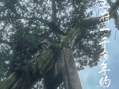 -太平天国侍王府
