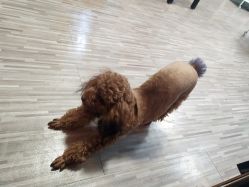 -JERRY日式美甲美睫纹绣工坊