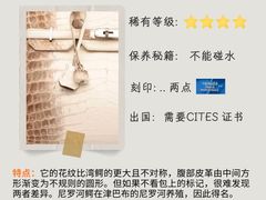 -海星奢选二手奢侈品手表包包鉴定回收寄卖(墨玉南路店)