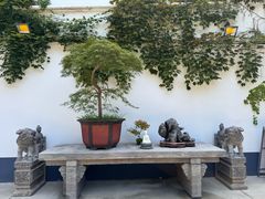 -龙华素斋(龙华路店)