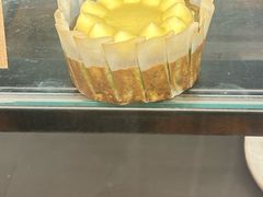 -Wagas沃歌斯(枫蓝国际店)