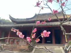 -宁波市保国寺古建筑博物馆