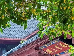 -东天目山风景区