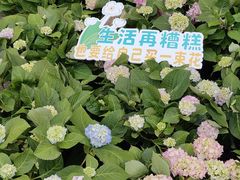 -天河体育中心