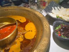 -新哥老官·畅吃123·美蛙世界(苏宁广场店)