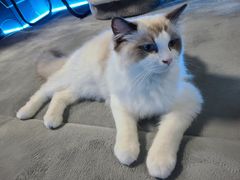 -零纪元VR体验馆·桌游(黄浦店)