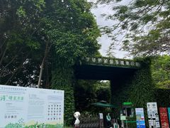 -华侨城湿地公园