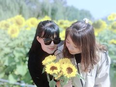 -长白岛森林公园