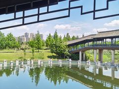 -眉山湿地公园(东坡区)
