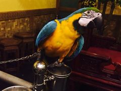 那家小馆(中关村店)-那家小馆•北京菜•烤鸭(中关村店)