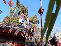 -北京上方山国家森林公园