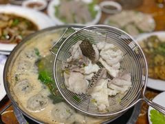 过鱼-金砂阿洲鱼册店