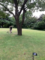 -上海瑞金洲际酒店·宴会厅